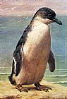 Study Of A Penguin by Henry Stacy Marks